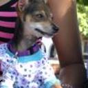 Chiquitica