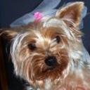 Vicky