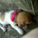 Molly