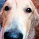 Danko diaz abett de la torre