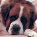 Keiko
