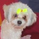 Aibon