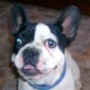 Lola