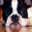 Rony