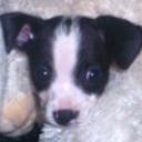 Charlie