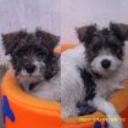 Barry y aika