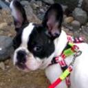 Rony